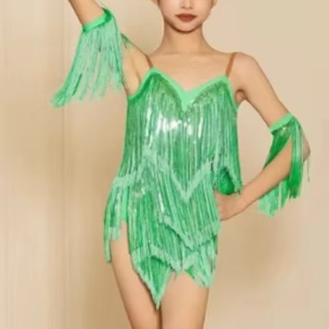 New Latin Performance Dance Dr - Outdoor Sport Dress review and price